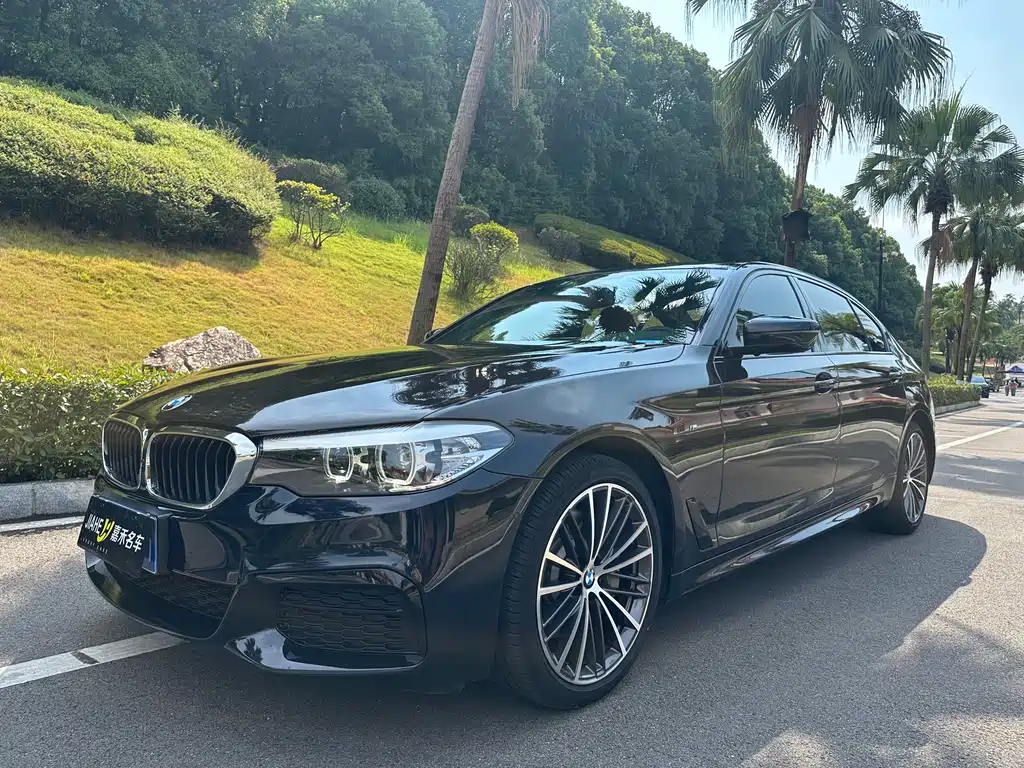 BMW  5 SERIES