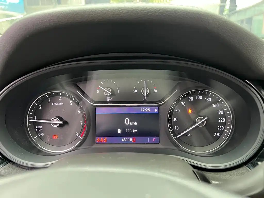 Buick Regal — миниатюра 12