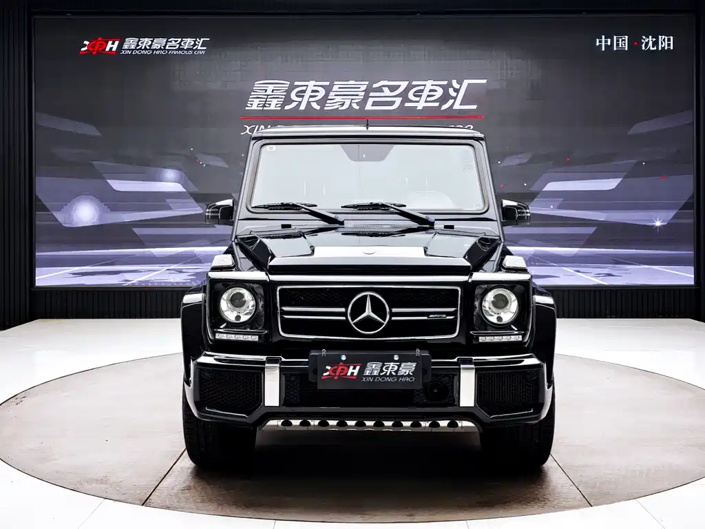 Mercedes-Benz G-Class A MG G AMG 2016 AMG G 63 Edition 463