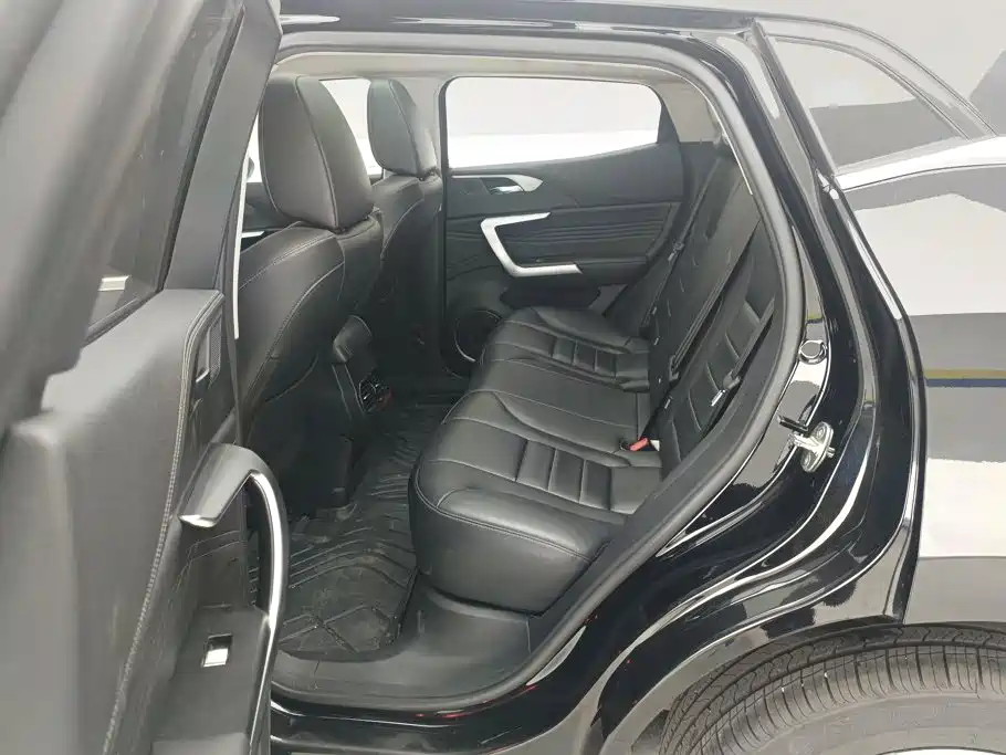 Wey VV5 1.5T 2WD Beauty Pioneer, фото 11