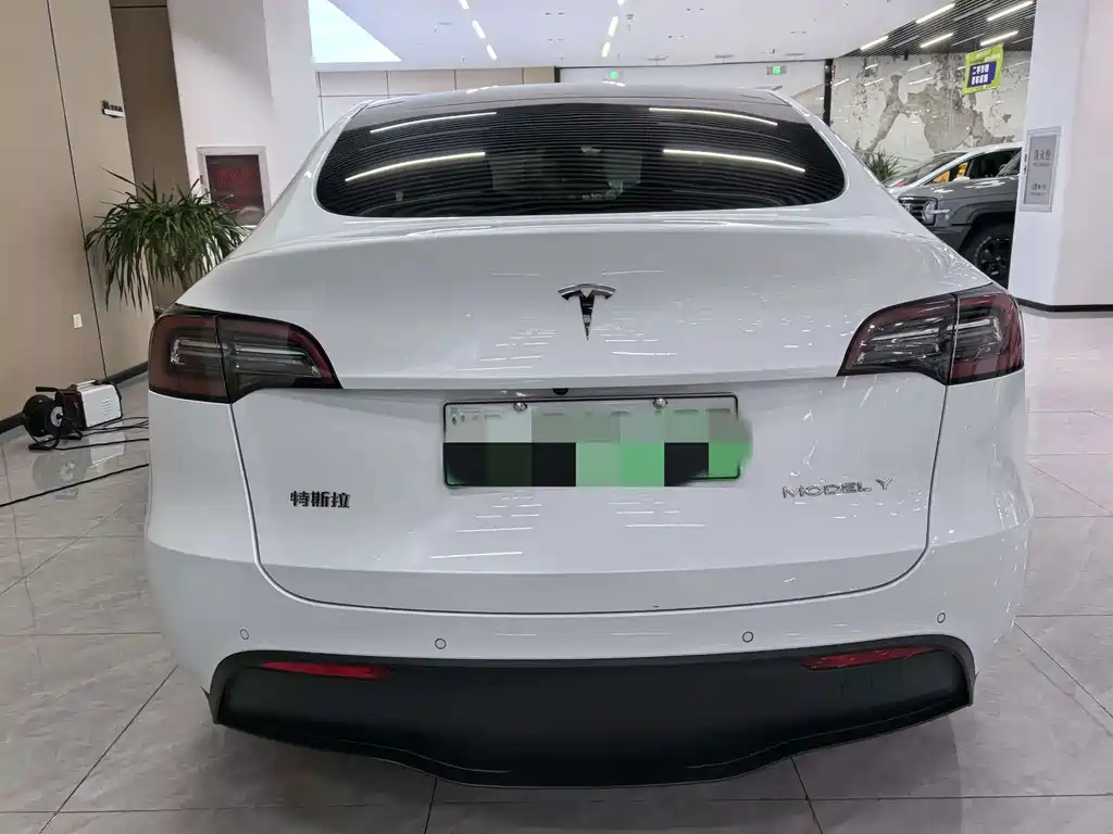 Tesla Model Y — миниатюра 4