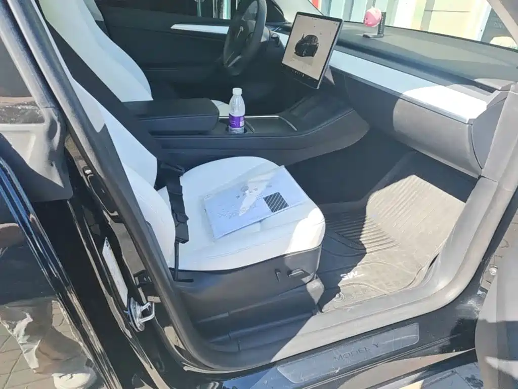 Tesla Model Y — миниатюра 25