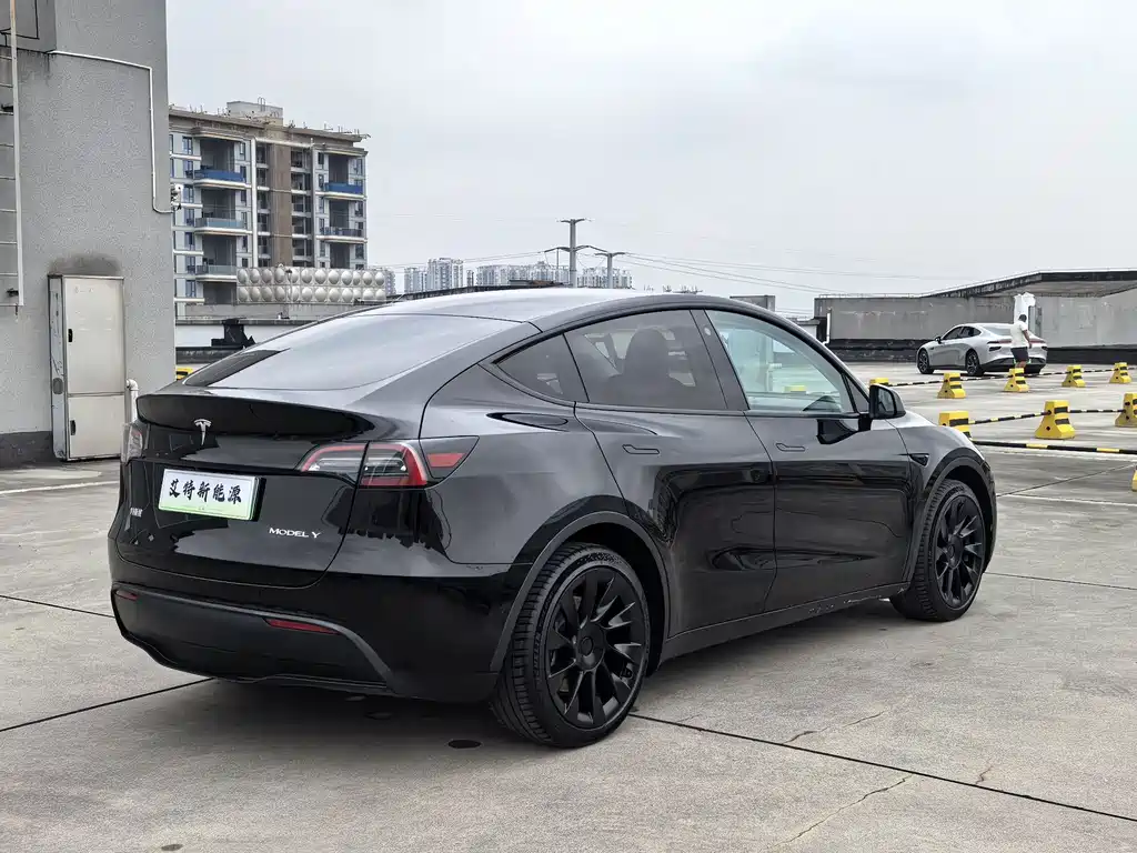Tesla Model Y — миниатюра 8