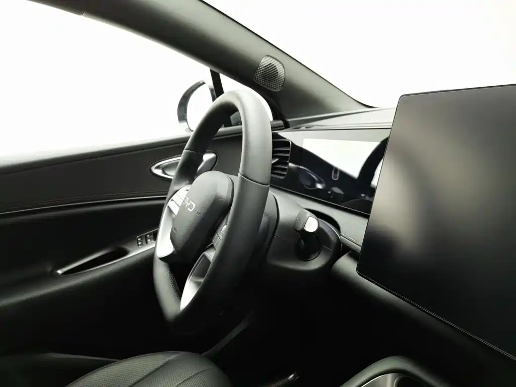 BYD Haisi 06 — миниатюра 22