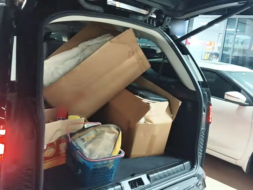 Land Rover Discovery — миниатюра 19