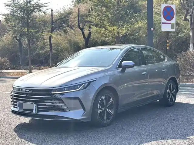 BYD DESTROYER 05 2022