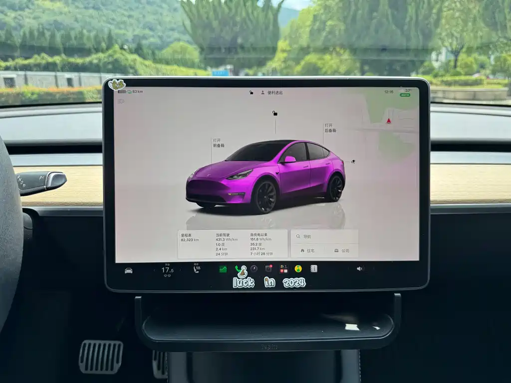 Tesla Model Y — миниатюра 16