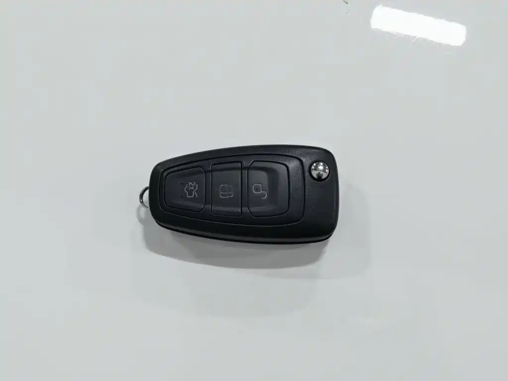 Ford Focus — миниатюра 19