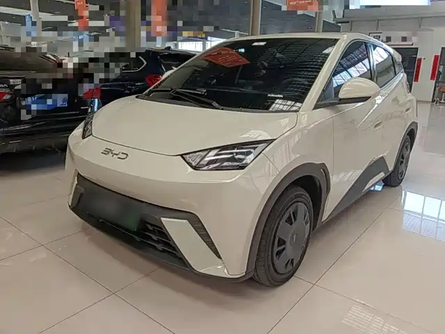 2024 BYD Seagull