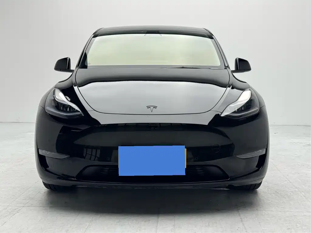 Tesla Model Y — миниатюра 2