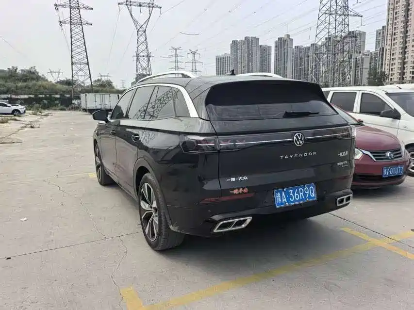 Volkswagen Tavendor — миниатюра 7
