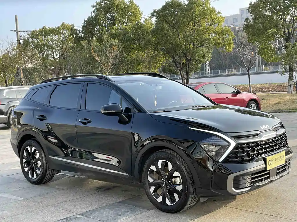 KIA LION PLATINUM EXPANDS THE WORLD