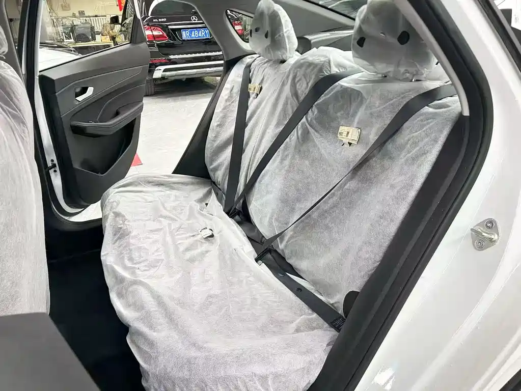 GEELY AUTOMOBILE BINRUI