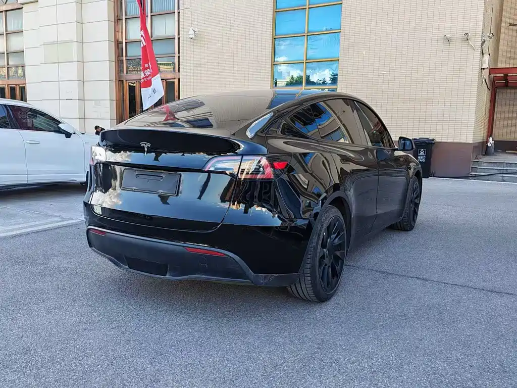 Tesla Model Y — миниатюра 4