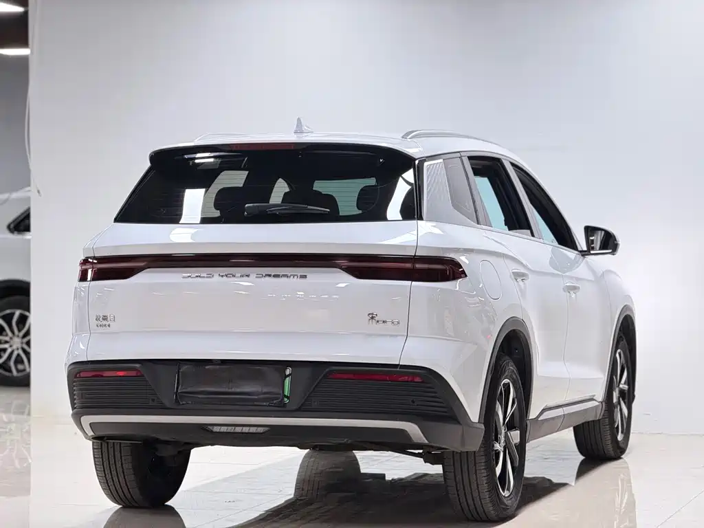 BYD Pro New Energy — миниатюра 5