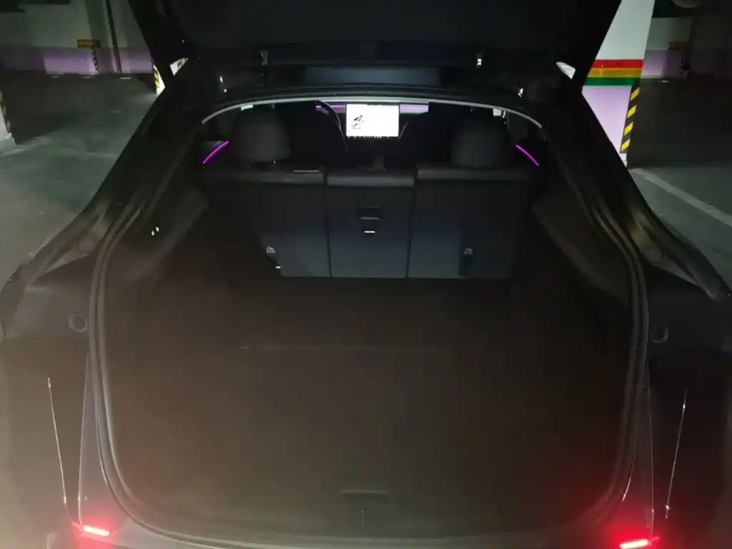 Tesla Model Y — миниатюра 19
