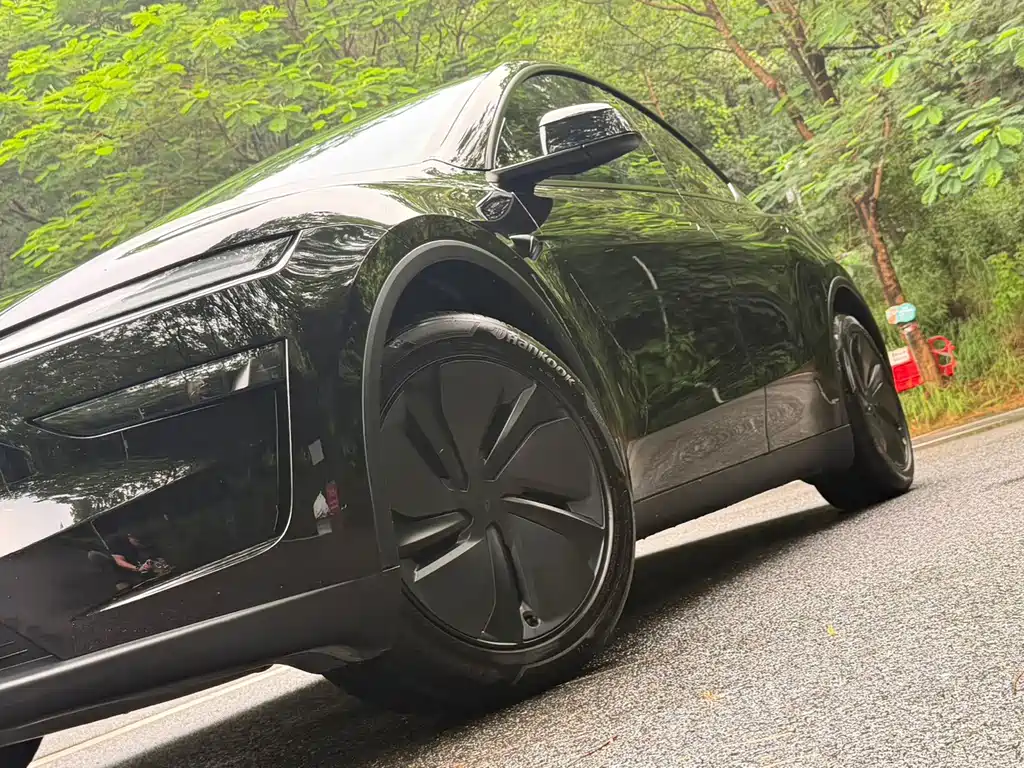 Tesla Model Y — миниатюра 6