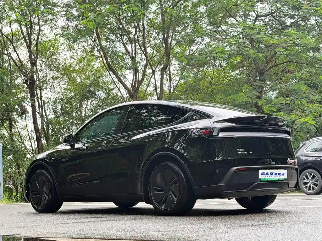 Tesla Model Y — миниатюра 3