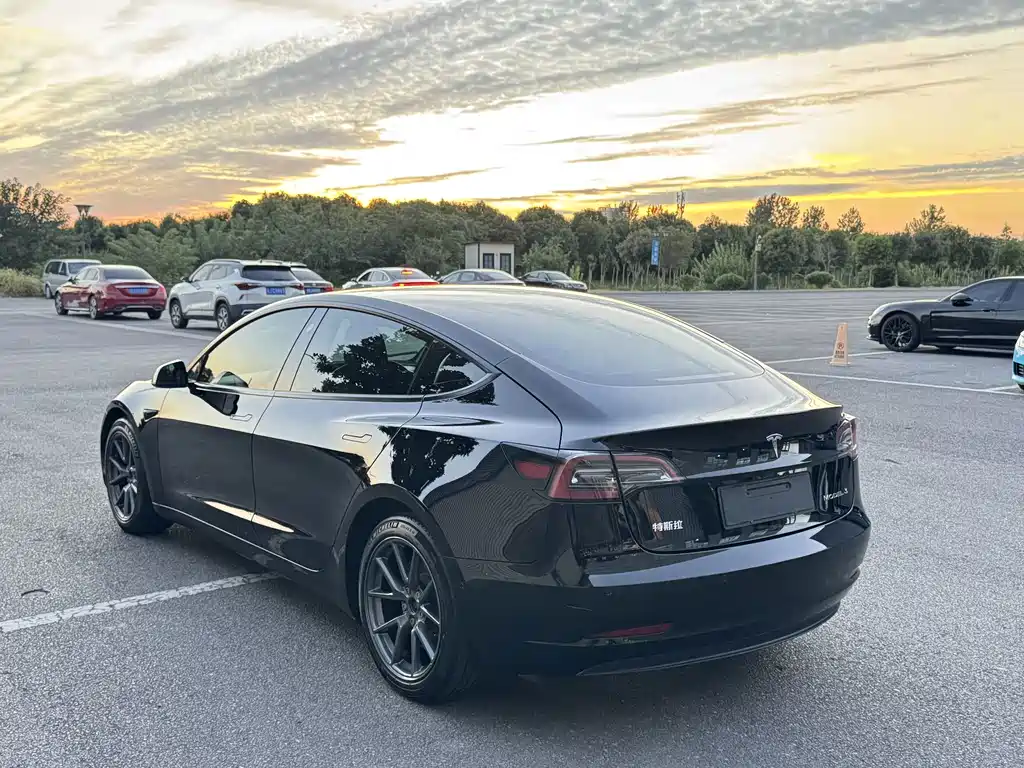 Tesla Model 3 — миниатюра 9