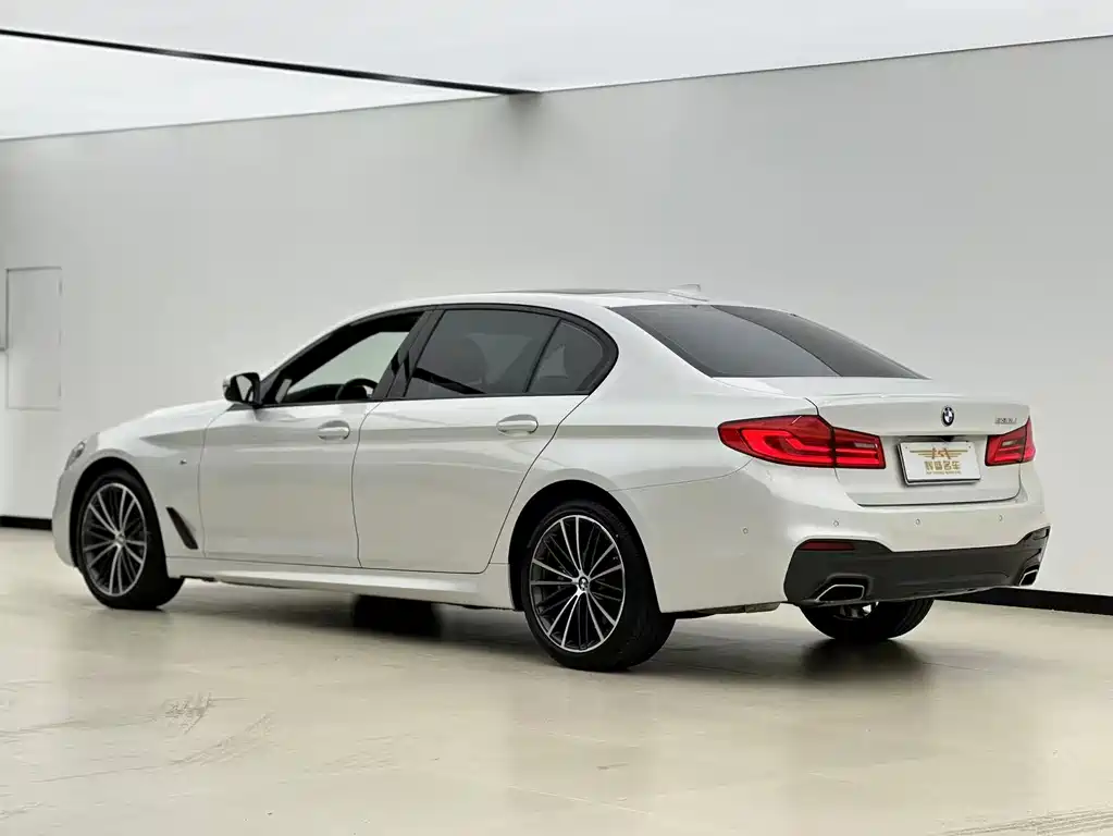 BMW 5 Series 5 2019 530Li Lead M Sport
