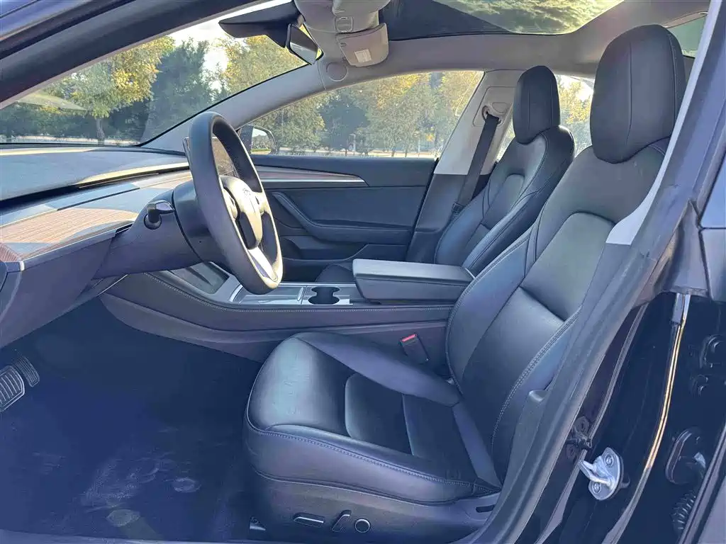 Tesla Model 3 — миниатюра 5