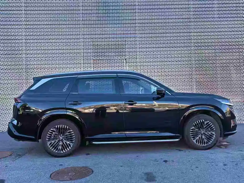 Nissan Teramont — миниатюра 9