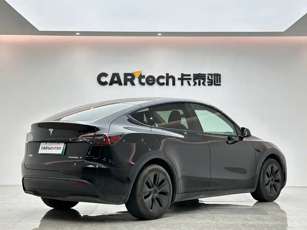 Tesla Model Y — миниатюра 5