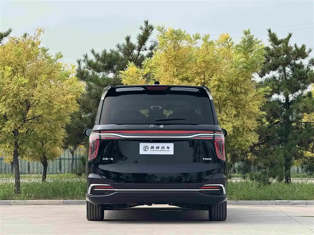 Hongqi Hongqi HQ9 — миниатюра 28