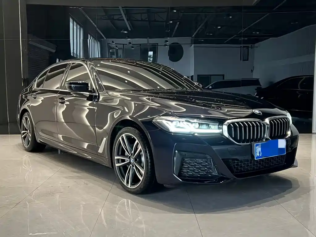 BMW 5 SERIES