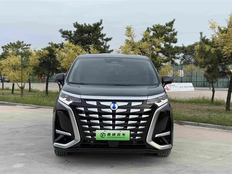 Denza Denza D9 — миниатюра 2