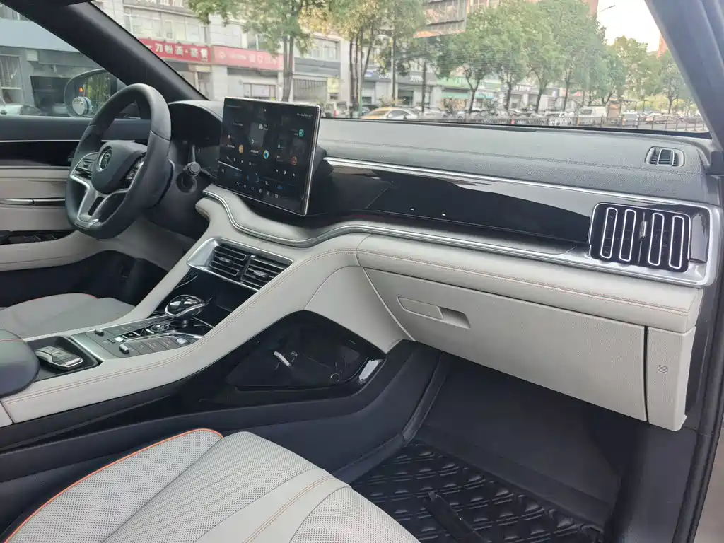 BYD PLUS New Energy — миниатюра 8
