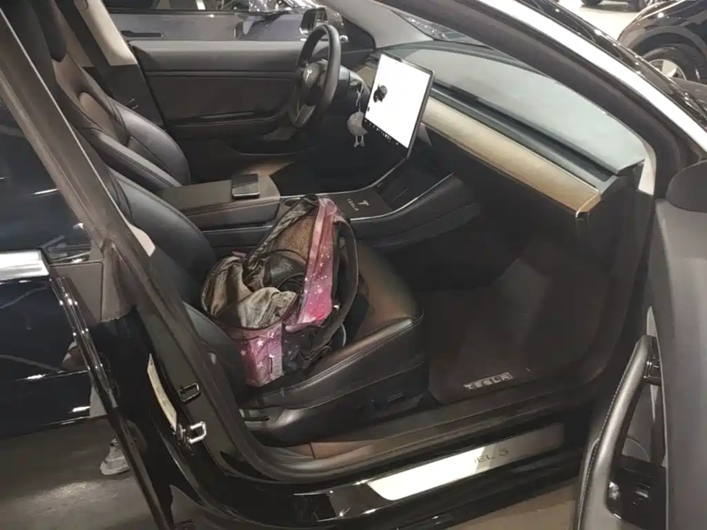 Tesla Model 3 — миниатюра 25