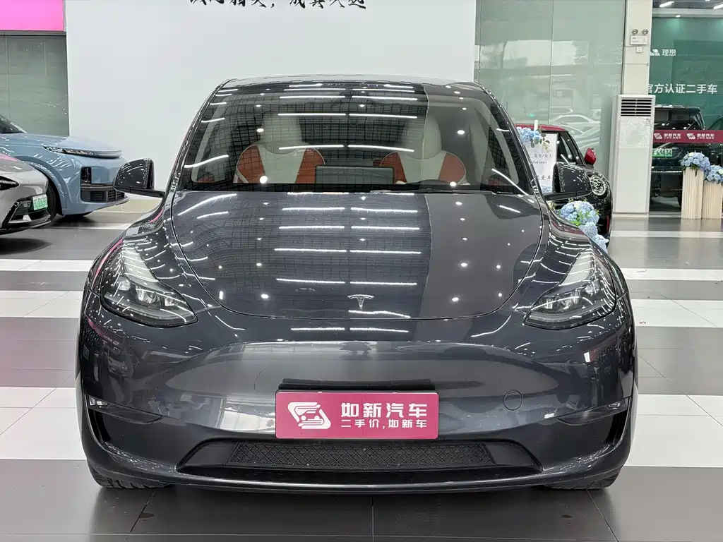 Tesla Model Y — миниатюра 3