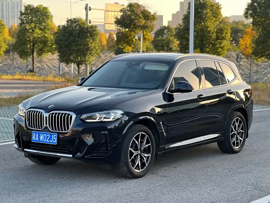 BMW X3 — миниатюра 3