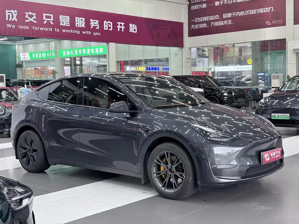 Tesla Model Y — миниатюра 2