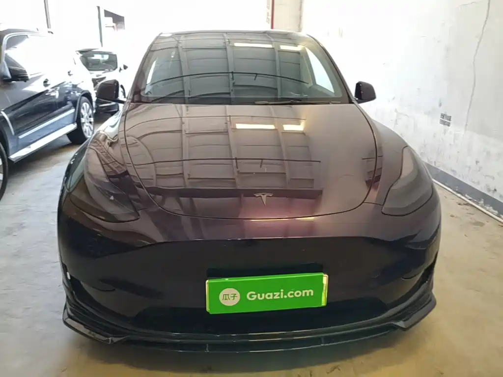 Tesla Model Y — миниатюра 3