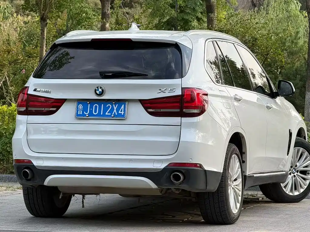 BMW X5 (Import) — миниатюра 9
