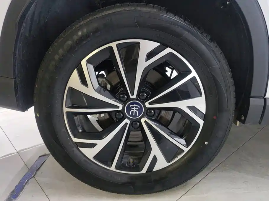 BYD Pro New Energy — миниатюра 6