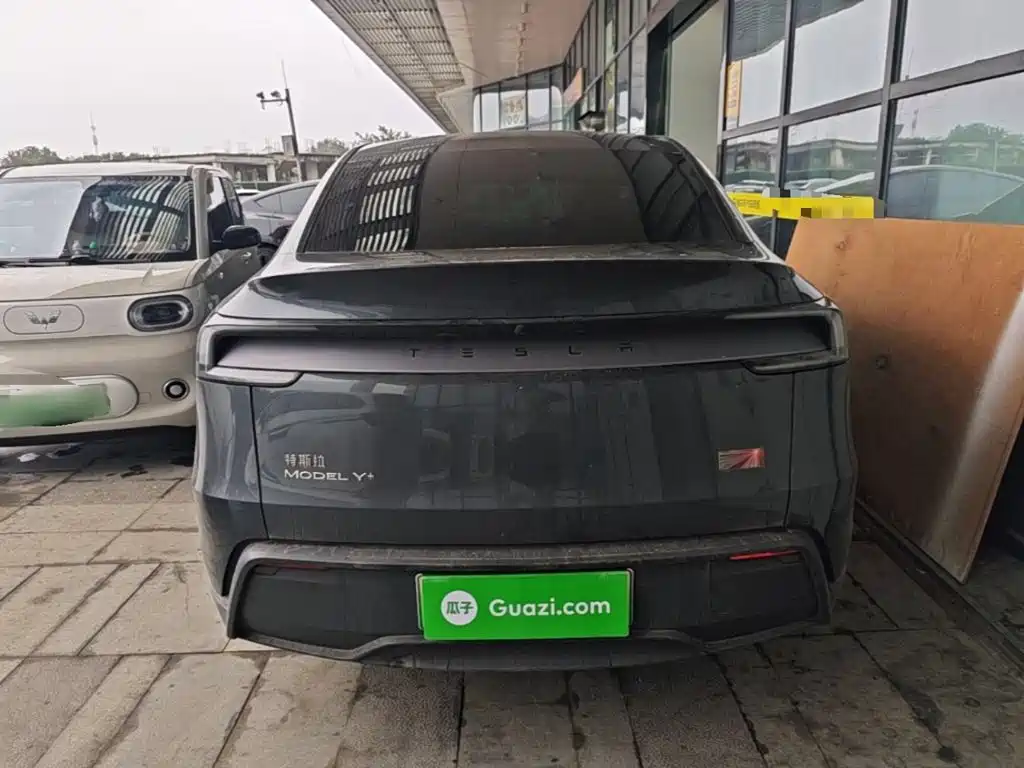 Tesla Model Y — миниатюра 6