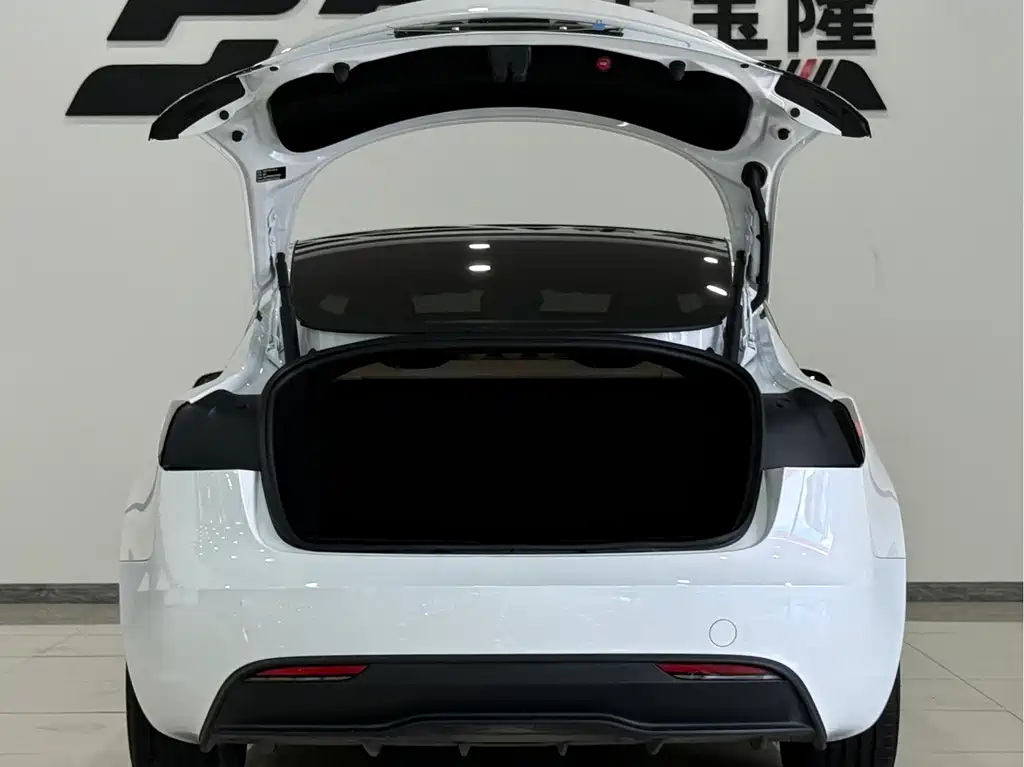 Tesla Model 3 — миниатюра 35