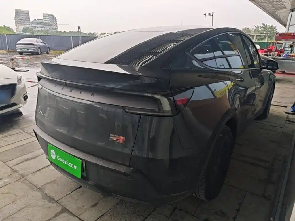 Tesla Model Y — миниатюра 7