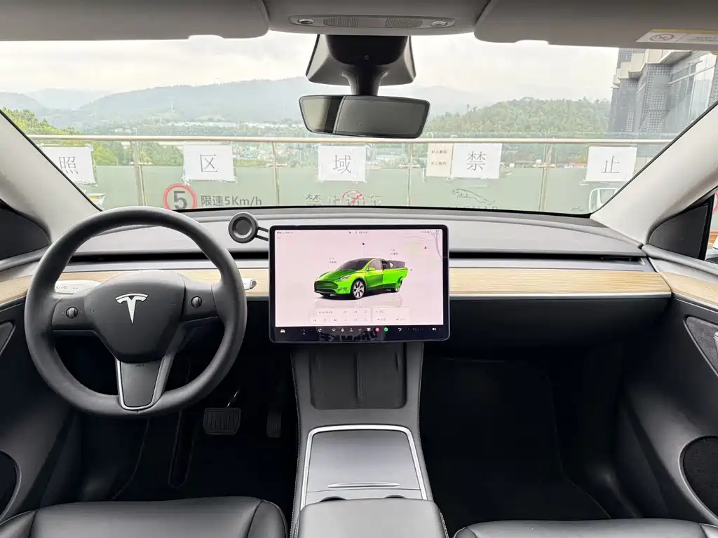 Tesla Model Y — миниатюра 7