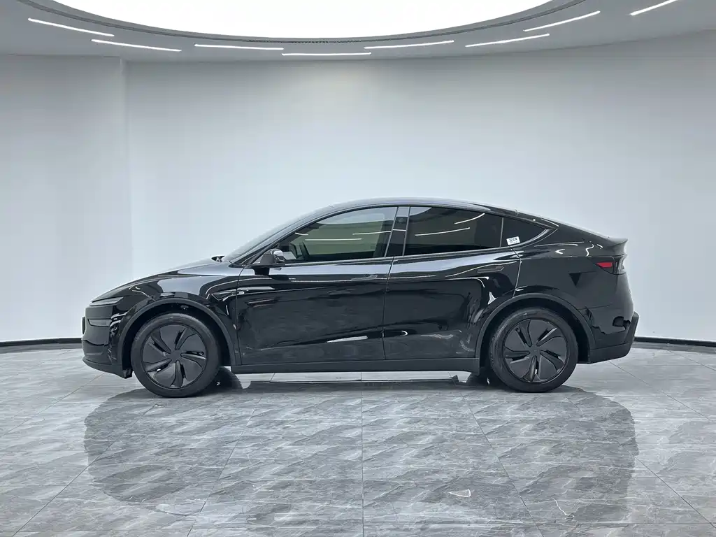 Tesla Model Y — миниатюра 9