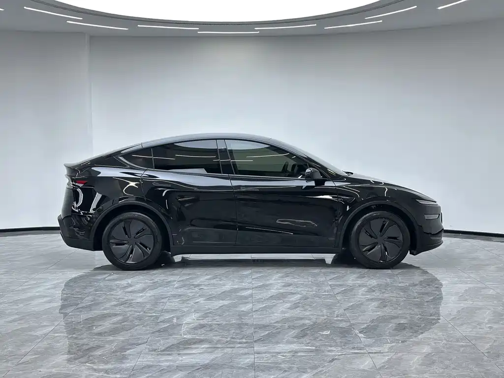Tesla Model Y — миниатюра 8