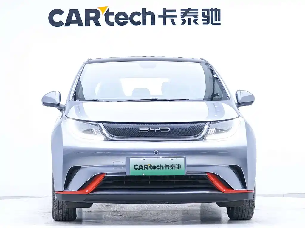 BYD Dolphin 2021 405km Fashion