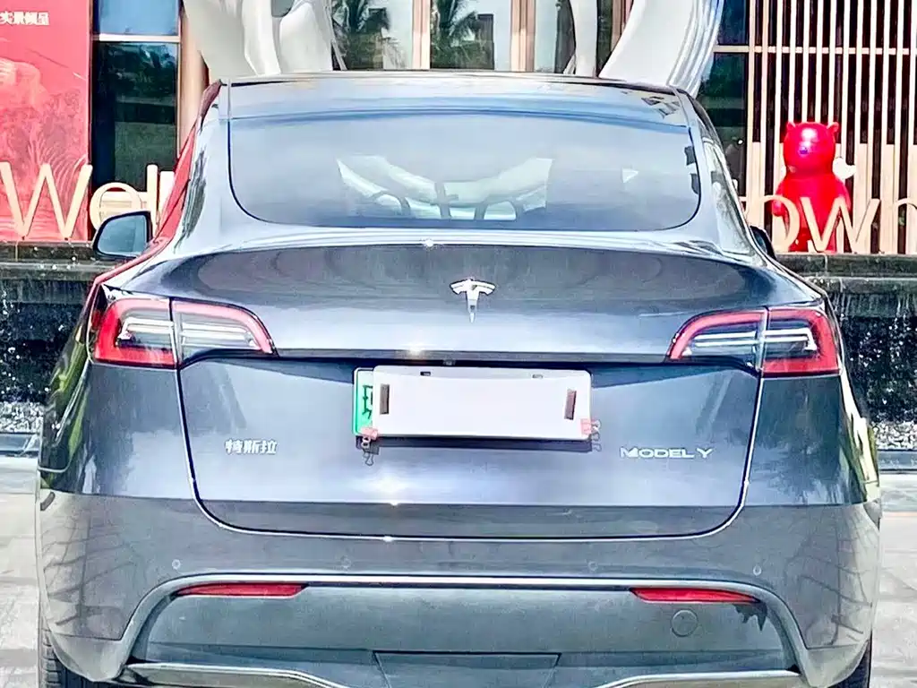 Tesla Model Y — миниатюра 8