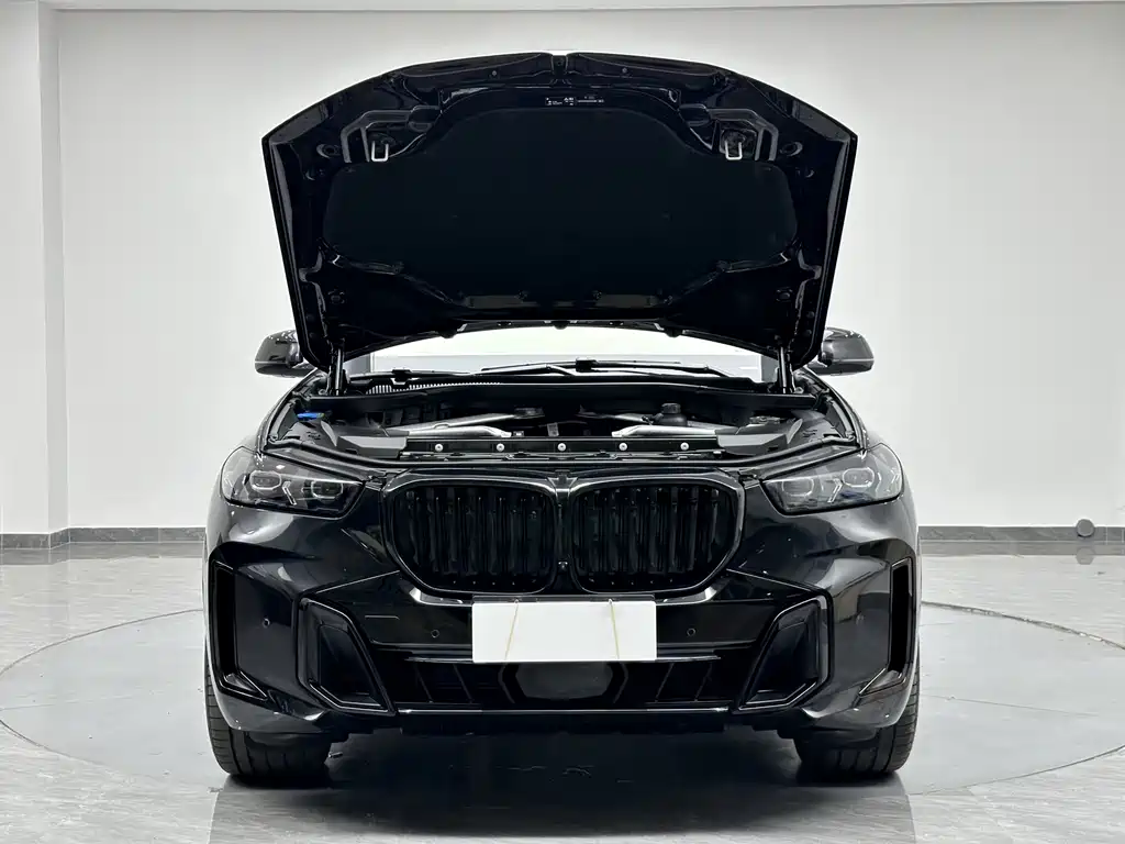 BMW X5 — миниатюра 26