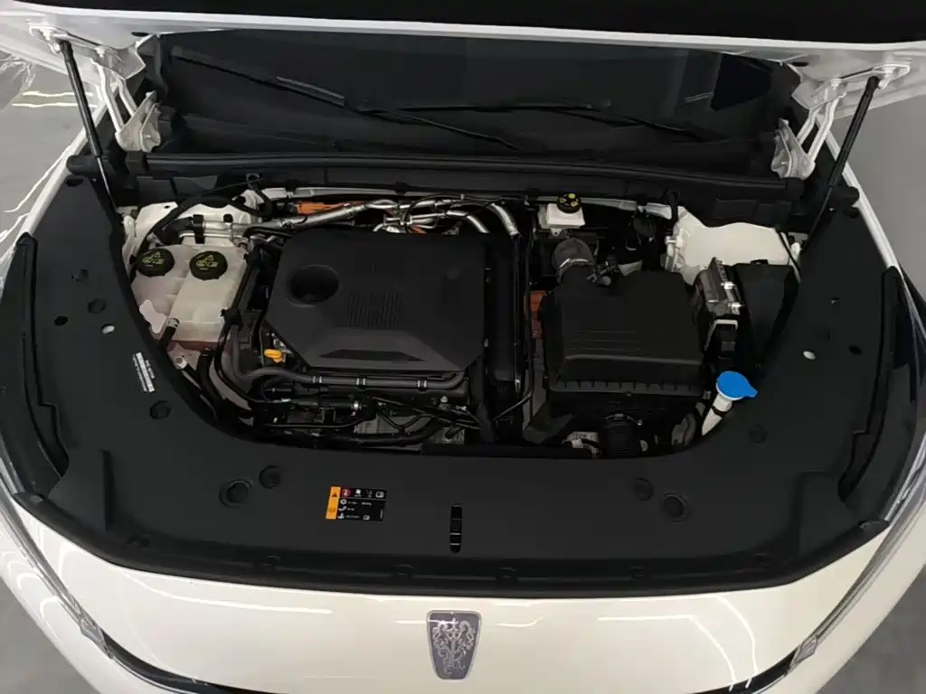 Roewe D5X DMH — миниатюра 20