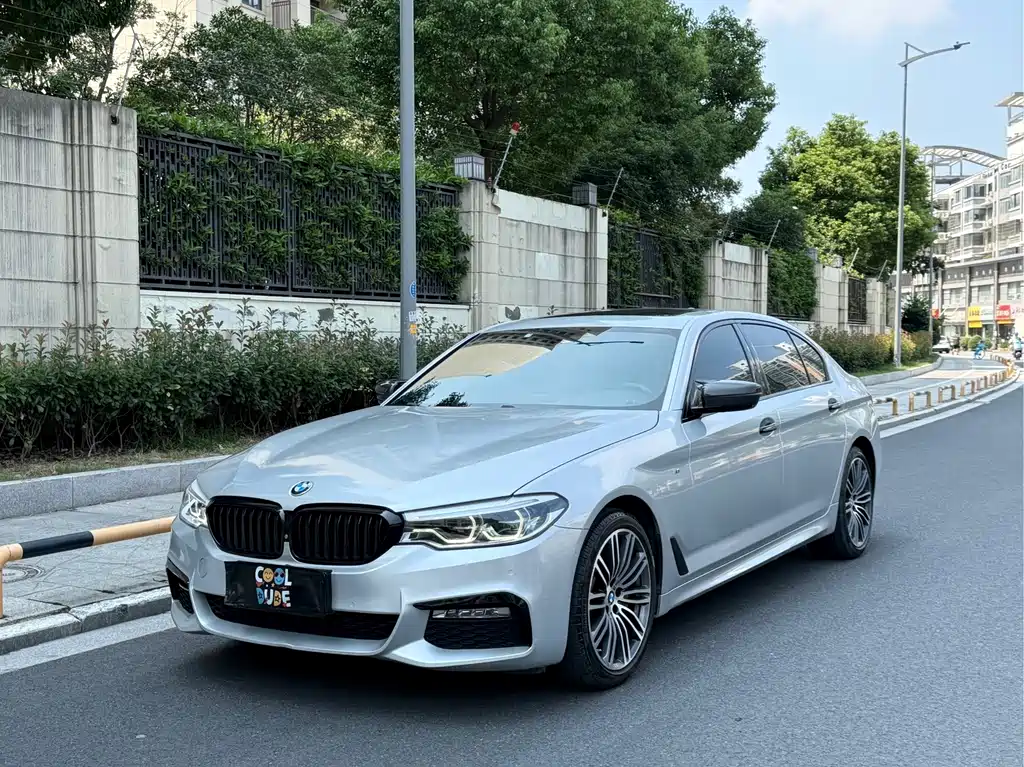 BMW 5 Series 5 2018 530Li Premium M Sport