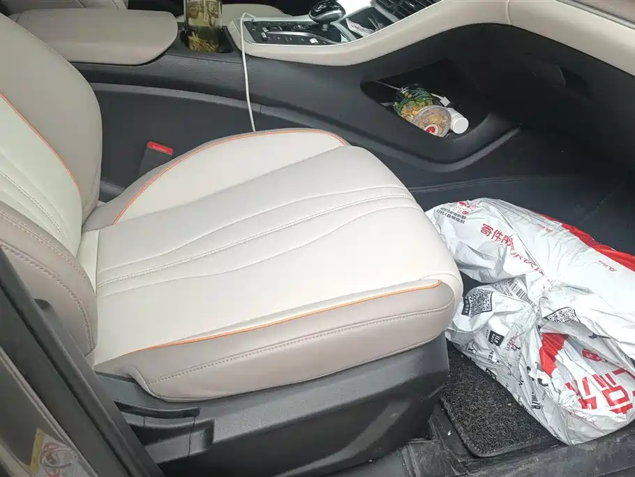 BYD SONGJIANG NEW ENERGY